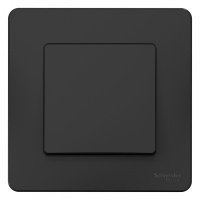 BLNVS010106 Systeme Electric Schneider Blanca цвет антрацит