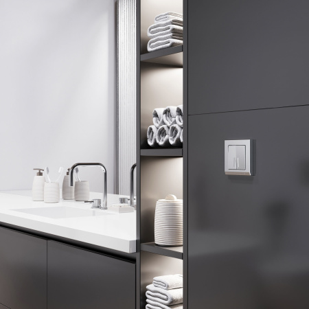 W1120165 Werkel Werkel механизмы серебряные матовый