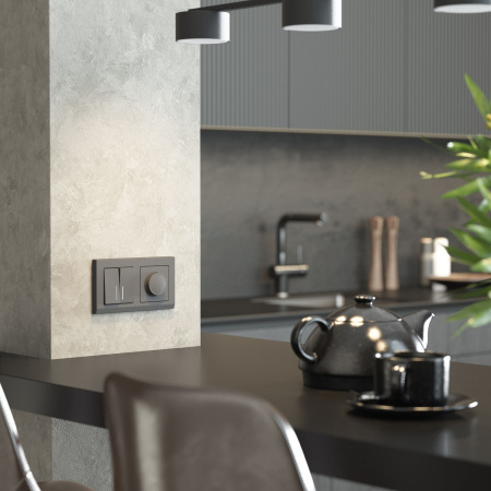 W1142064 Werkel Werkel механизмы графит матовый