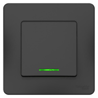 BLNVS010116 Systeme Electric Schneider Blanca цвет антрацит