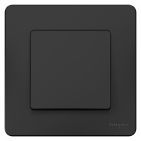 BLNVS010606 Systeme Electric Schneider Blanca цвет антрацит