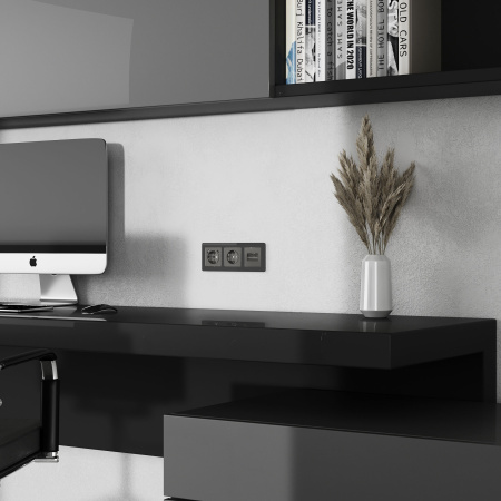 W1191144 + W1181101 Werkel Werkel механизмы акрил графит