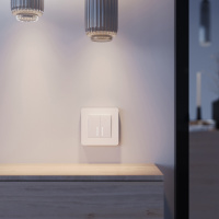 W0013068 Werkel Werkel рамки Split