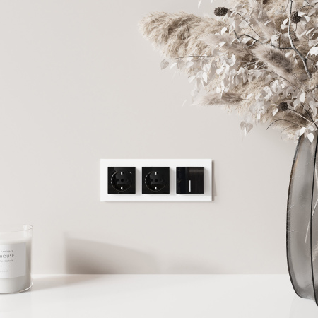 W1171748 Werkel Werkel механизмы акрил черный