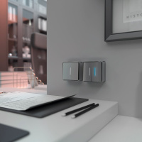 W5010106 Werkel Werkel Gallant цвет серебряный