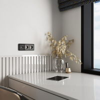 W1191144 + W1181101 Werkel Werkel механизмы акрил графит