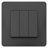 BLNVS100506 Systeme Electric Schneider Blanca цвет антрацит