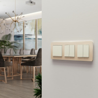 W0032611 Werkel Werkel рамки Platinum