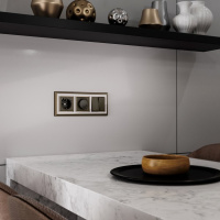 W1171501 + W1179512 Werkel Werkel механизмы бронзовые