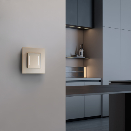 W4522011 Werkel Werkel механизмы сенсорные шампань