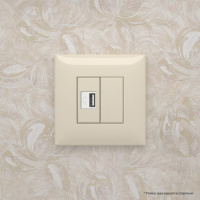 4405542 + 4400802 DKC Avanti ванильная дымка