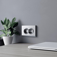 W1172065 Werkel Werkel механизмы серебряные матовый