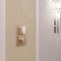 W1120011 Werkel Werkel механизмы шампань