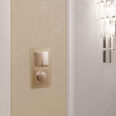 W1142011 Werkel Werkel механизмы шампань