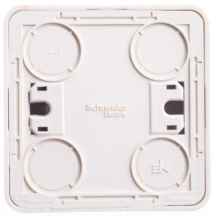 BA10-005D Systeme Electric Schneider Etude цвет сосна