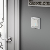 W1120113 Werkel Werkel механизмы перламутровые рифленые