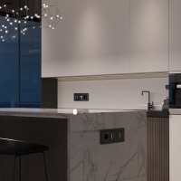 W4512008 Werkel Werkel механизмы сенсорные черные