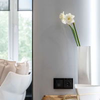 W1171308 Werkel Werkel механизмы черные матовые