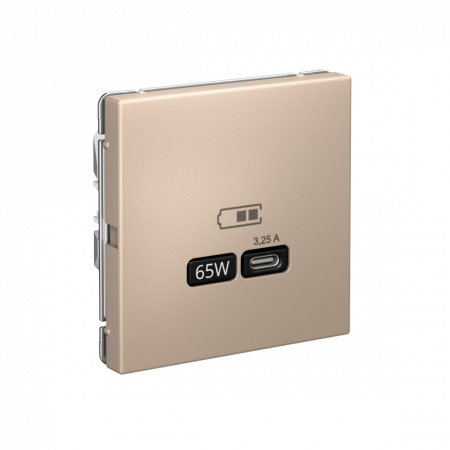 GAL001227 Systeme Electric Schneider Electric ArtGallery цвет песочный