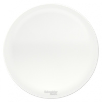 BLNZA000011 Systeme Electric Schneider Blanca накладной монтаж цвет белый