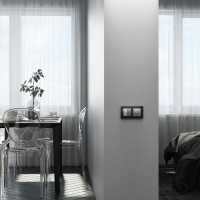 W1123008 Werkel Werkel механизмы серебряные