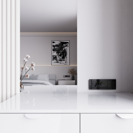 W1142048 Werkel Werkel механизмы акрил черный