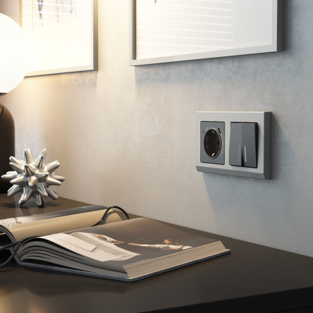 W1122164 Werkel Werkel механизмы графит матовый