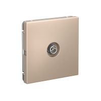 GAL001292 Systeme Electric Schneider Electric ArtGallery цвет песочный