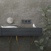 W0031208 Werkel Werkel рамки Diamant