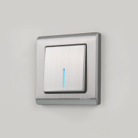 W1110102 Werkel Werkel механизмы никель глянцевый