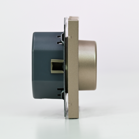 GAL000523 Systeme Electric Schneider Electric ArtGallery цвет шампань