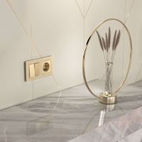 W1120011 Werkel Werkel механизмы шампань