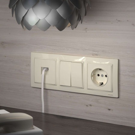 W1171003 Werkel Werkel механизмы бежевые