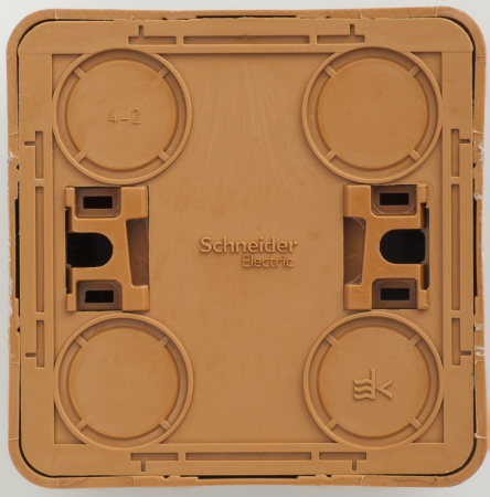 PA16-004T Systeme Electric Schneider Etude цвет бук