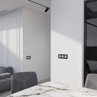 W4522011 Werkel Werkel механизмы сенсорные шампань