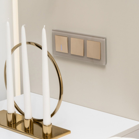 W1112010 Werkel Werkel механизмы шампань рифленые