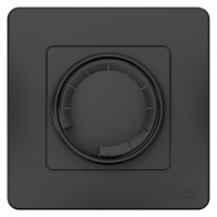 BLNSS040016 Systeme Electric Schneider Blanca цвет антрацит