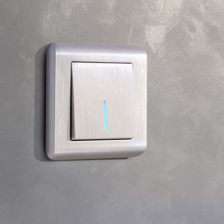 W1112113 Werkel Werkel механизмы перламутровые рифленые